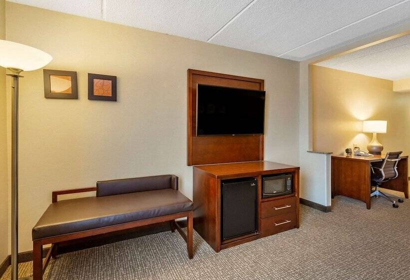 هتل Comfort Suites Manassas Battlefield Park