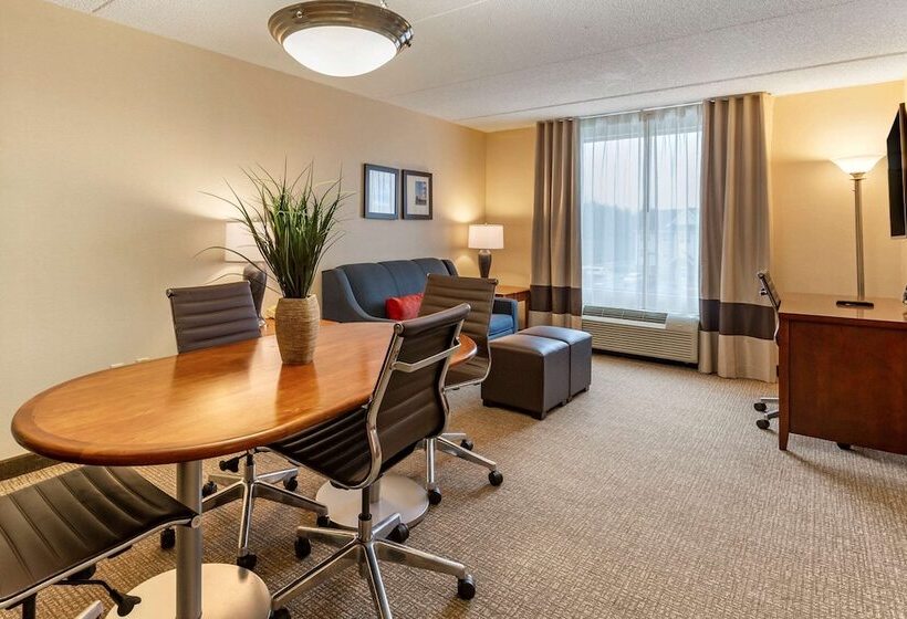 هتل Comfort Suites Manassas Battlefield Park