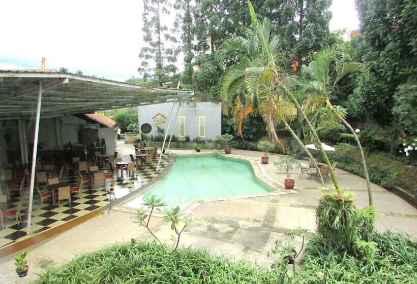 Fotos del hotel Topas Galeria:  18
