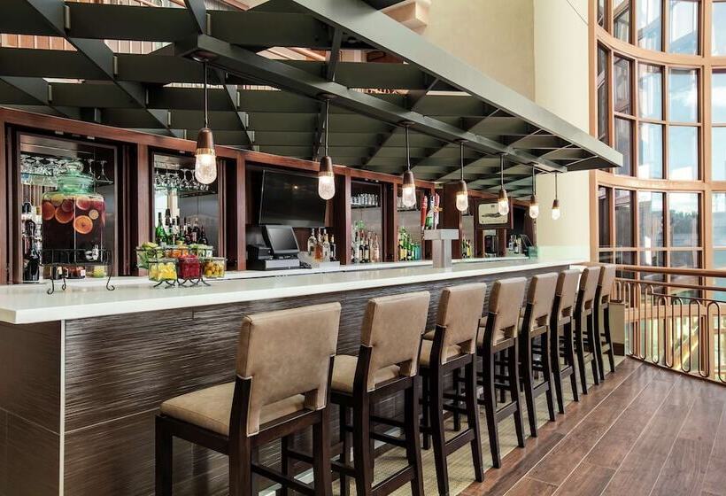 Fotos del hotel Embassy Suites By Hilton Convention Center Las Vegas:  49