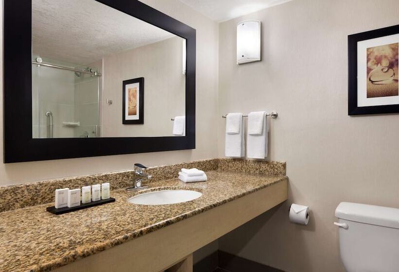 Fotos del hotel Embassy Suites By Hilton Convention Center Las Vegas:  35