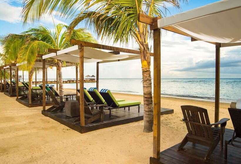 Hilton Rose Hall An All Inclusive Resort