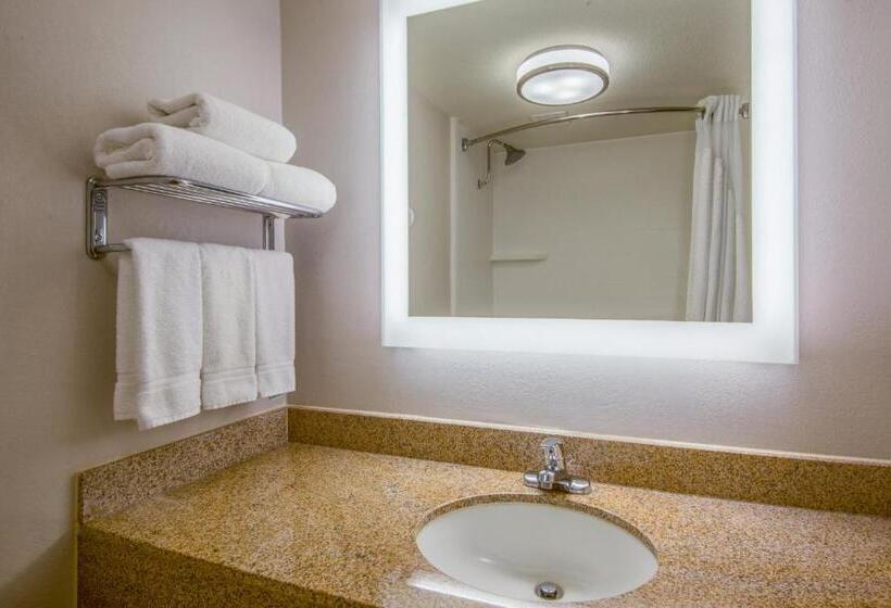 هتل Holiday Inn Express El Paso Central, An Ihg