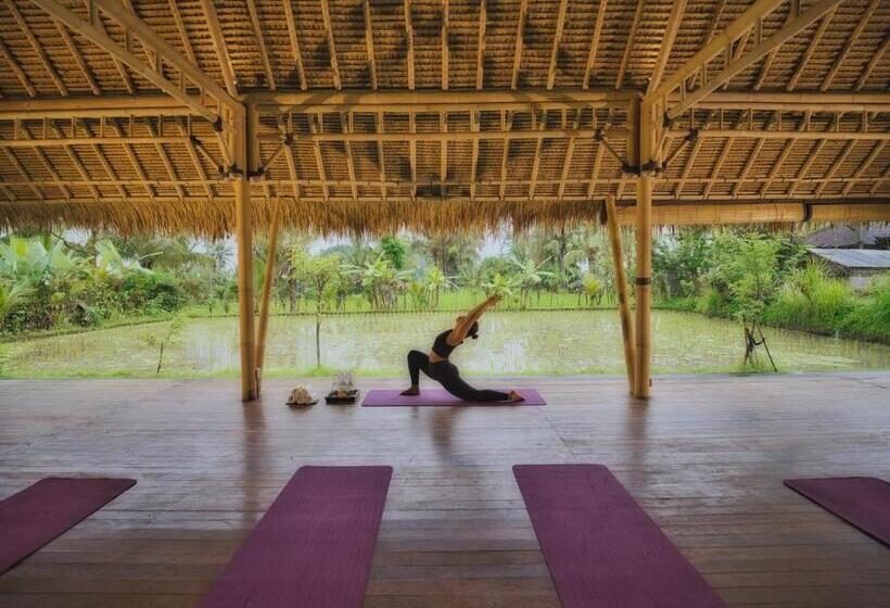 Fotos del hotel Nandini Jungle Resort & Spa Bali:  23