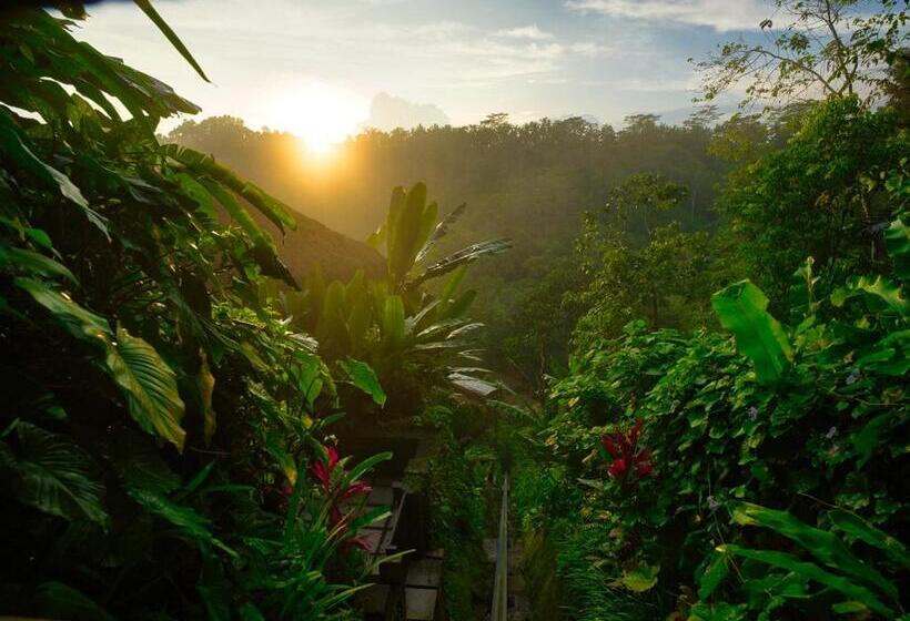 Fotos del hotel Nandini Jungle Resort & Spa Bali:  6