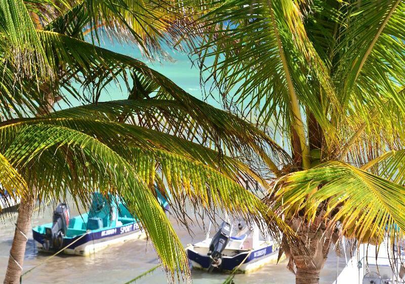 Fotos del hotel Playa Palms Beach:  26