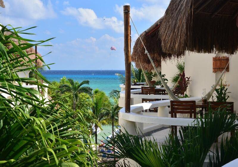 Fotos del hotel Playa Palms Beach:  17