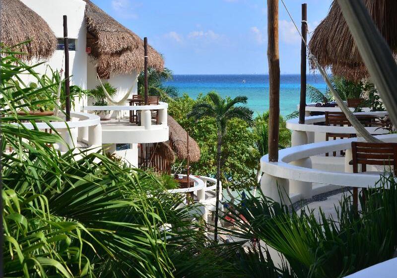 Fotos del hotel Playa Palms Beach:  22