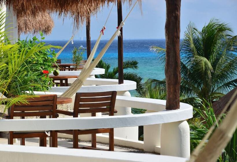 Fotos del hotel Playa Palms Beach:  11