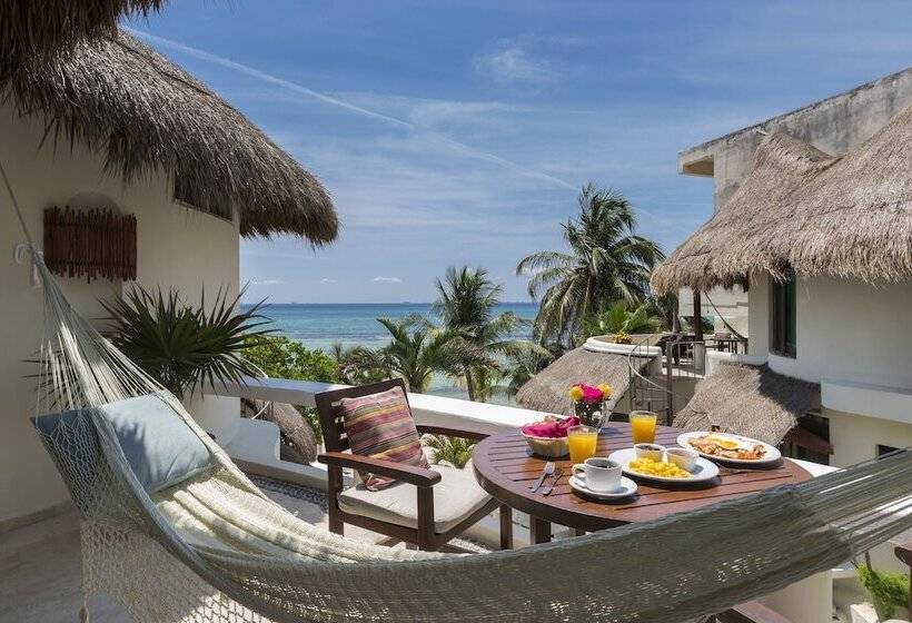 Fotos del hotel Playa Palms Beach:  42