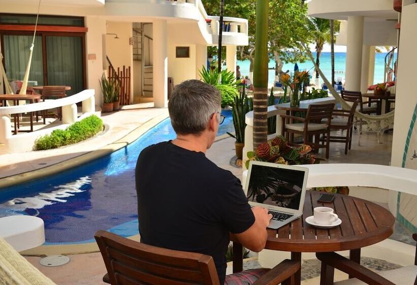 Fotos del hotel Playa Palms Beach:  32