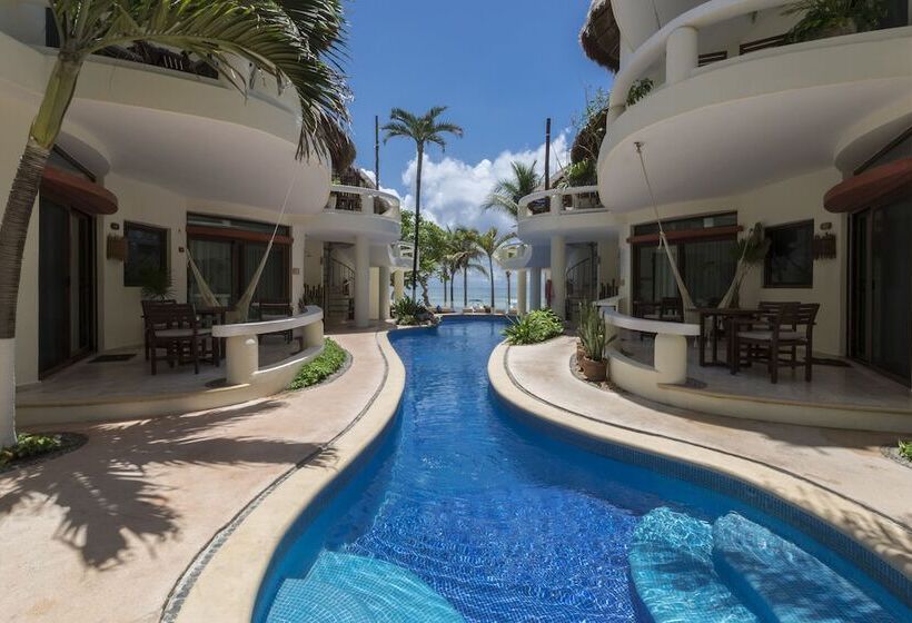 Fotos del hotel Playa Palms Beach:  36