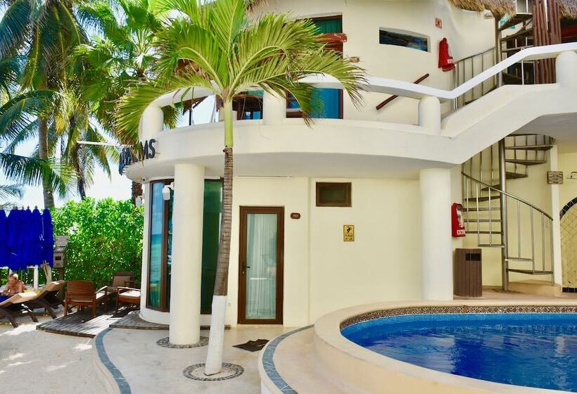 Fotos del hotel Playa Palms Beach:  3