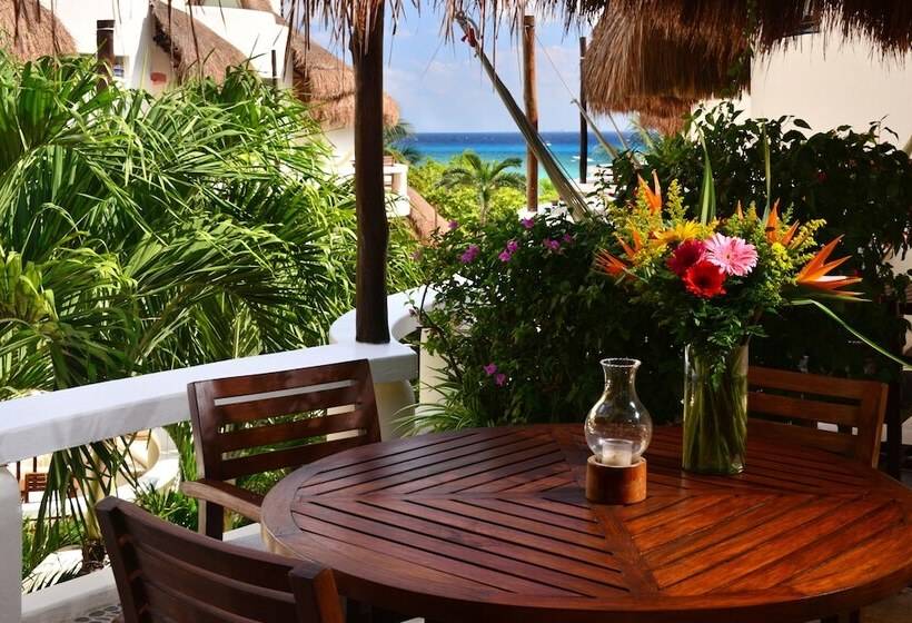 Fotos del hotel Playa Palms Beach:  28