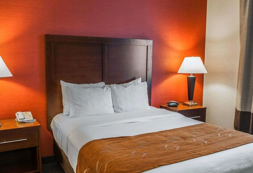 هتل Quality Suites Ne Indianapolis Fishers