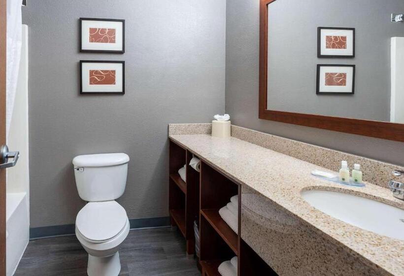 هتل Quality Suites Ne Indianapolis Fishers