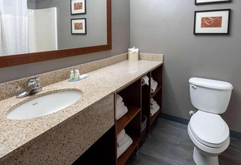 هتل Quality Suites Ne Indianapolis Fishers