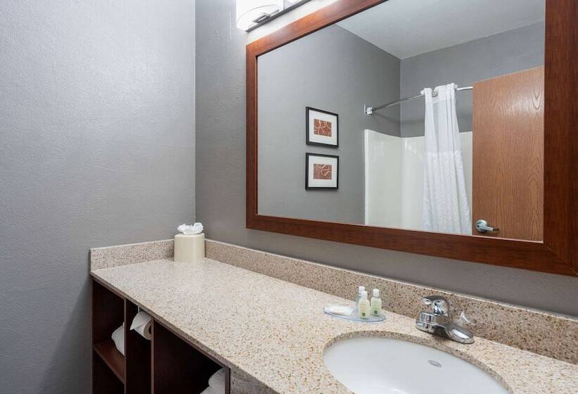 هتل Quality Suites Ne Indianapolis Fishers