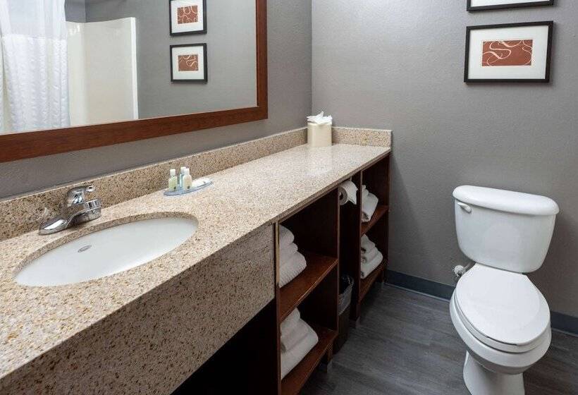 هتل Quality Suites Ne Indianapolis Fishers