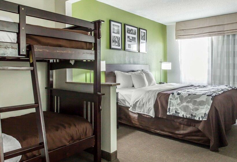 酒店 Sleep Inn & Suites Near I 90 And Ashtabula