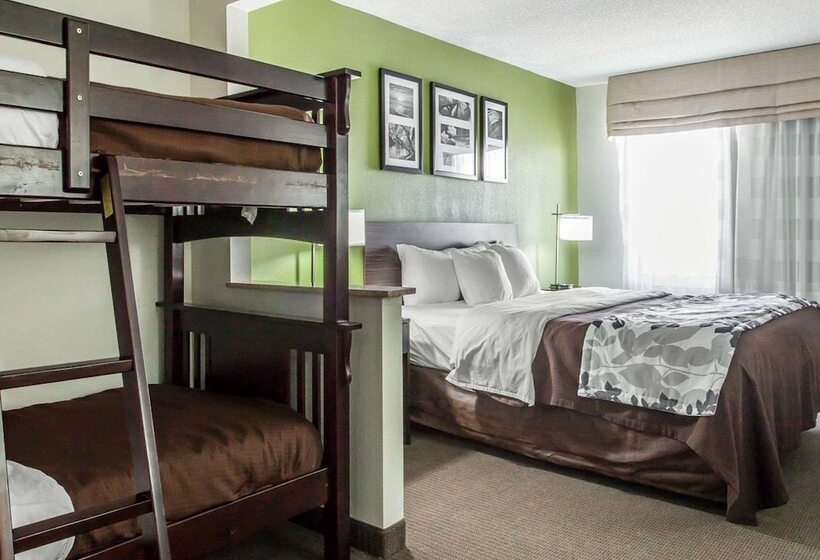 酒店 Sleep Inn & Suites Near I 90 And Ashtabula