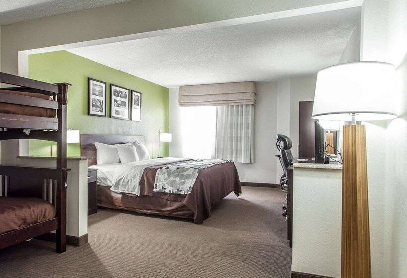 酒店 Sleep Inn & Suites Near I 90 And Ashtabula