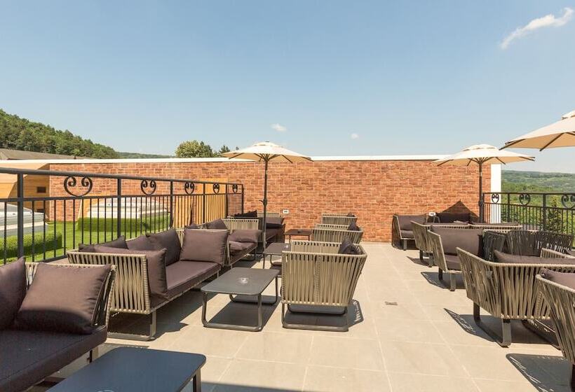 هتل Movenpick Resort And Spa Fruske Terme