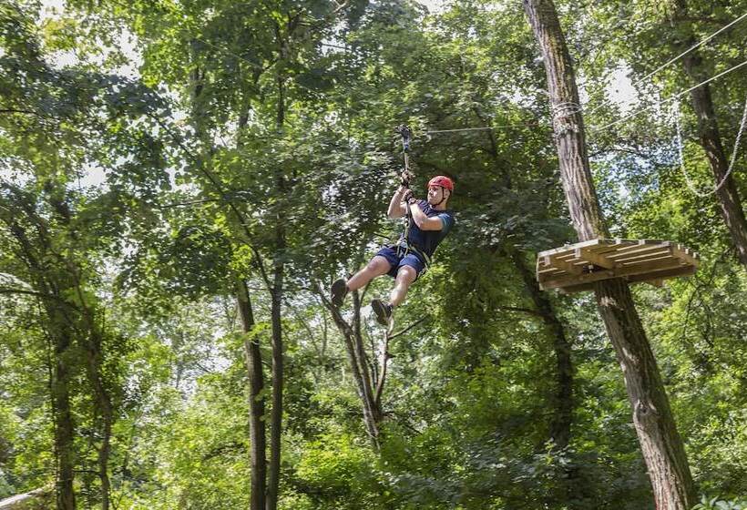 هتل Movenpick Resort And Spa Fruske Terme