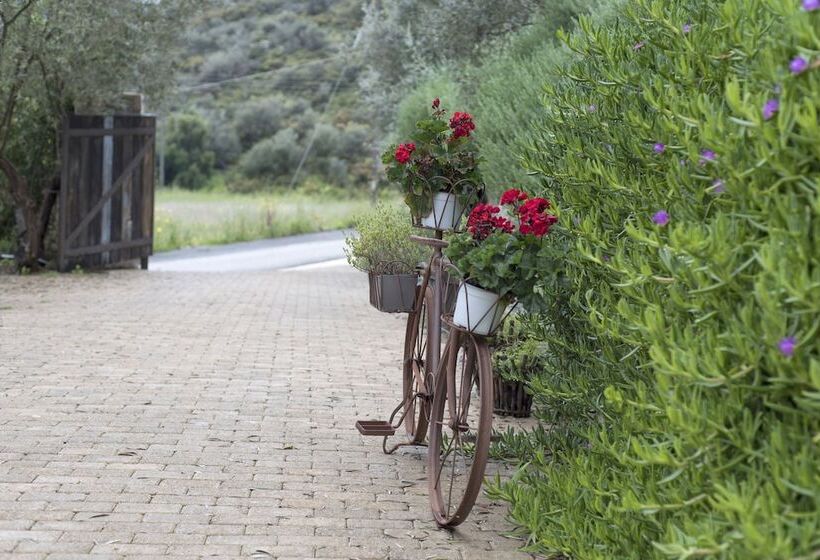 هتل Opora Country Living