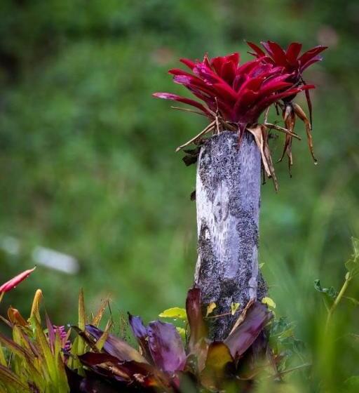 هاستل Hostal Rural La Montaña Alquiyapura