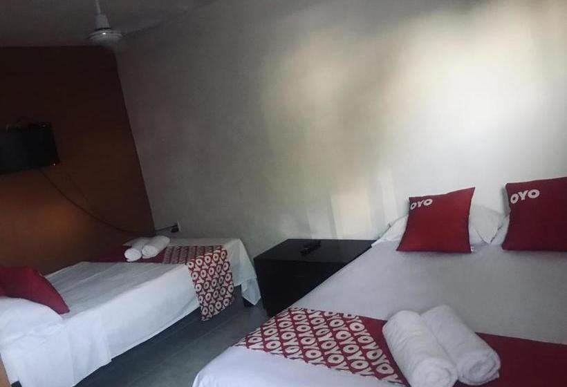 Hotel Posada Roma