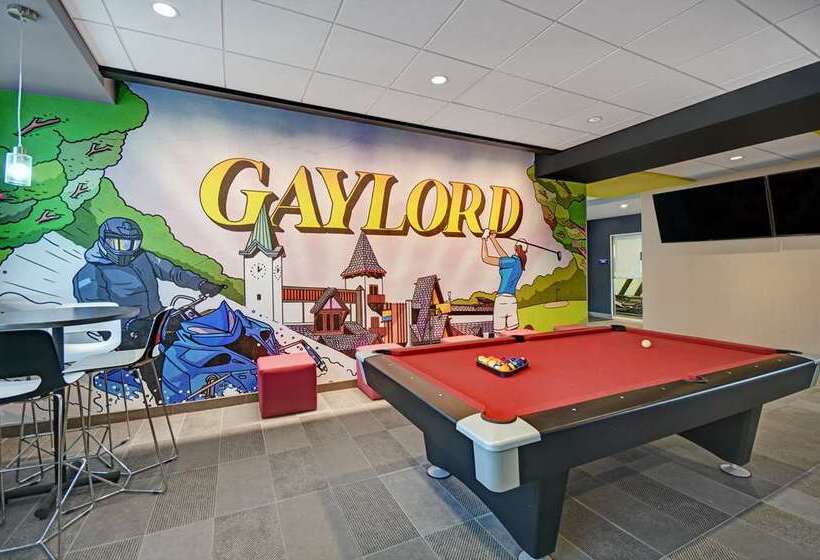 酒店 Tru By Hilton Gaylord, Mi