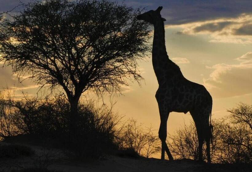 ペンション Hippomoon Lodge Game Reserve