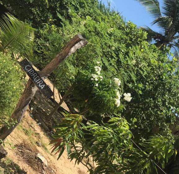 پانسیون Hostel Flor Da Vida