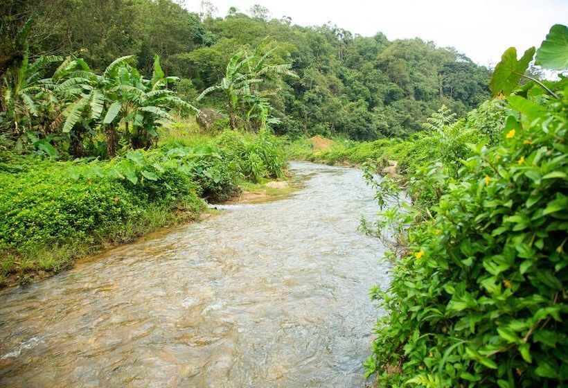 بنسيون Room In Cabin   The Nest Bettathur, Coorg Ct 003
