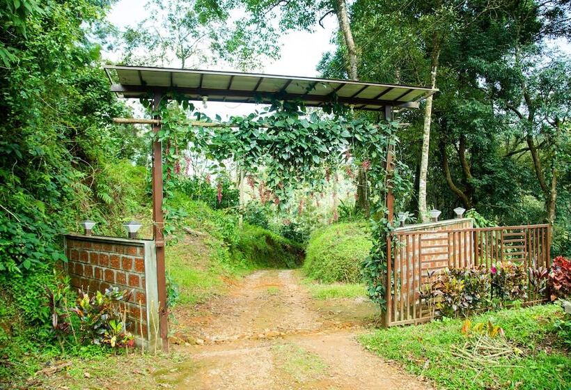 بنسيون Room In Cabin   The Nest Bettathur, Coorg Ct 004