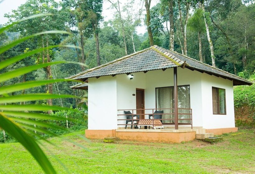 بنسيون Room In Lodge   The Nest Bettathur Coorg Ct No 1