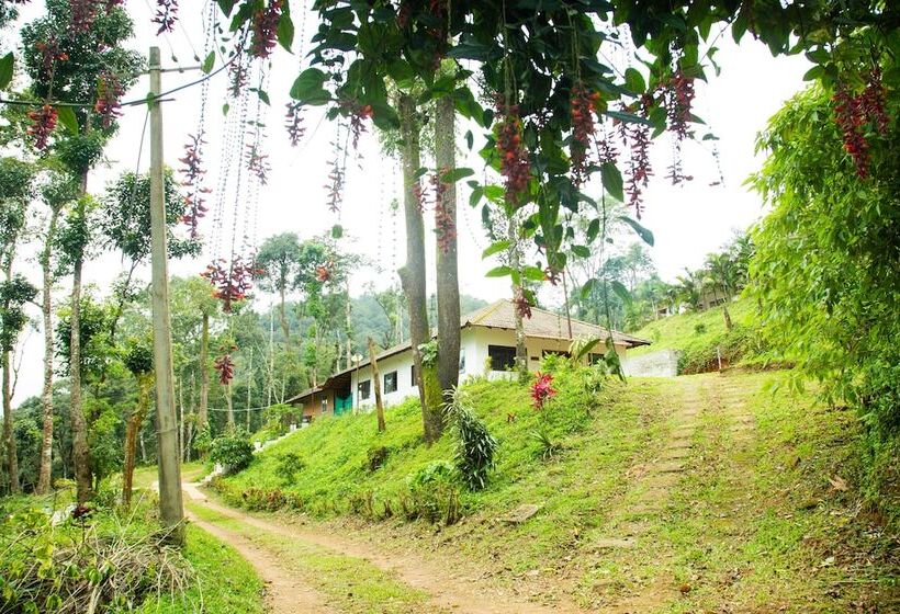 بنسيون Room In Lodge   The Nest Bettathur Coorg Ct No 1