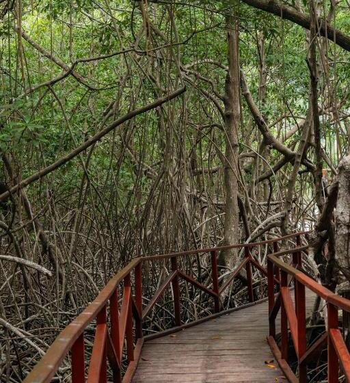 هاستل El Hongo Finca Hostal / Camping