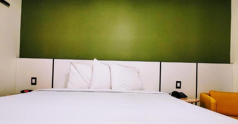 هاستل The Bell Vista