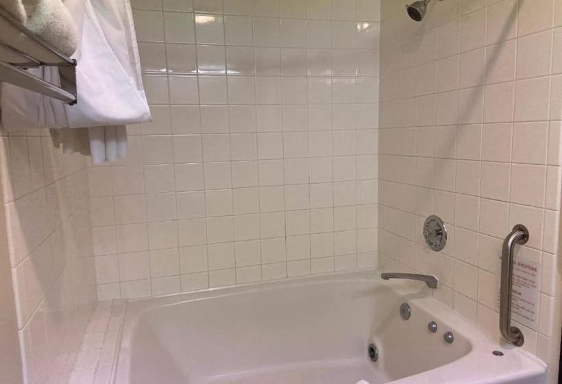 فندق Amerivu Inn And Suites Shawano Wi