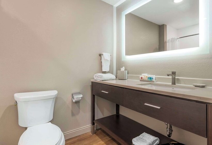 בית מלון כפרי Comfort Inn & Suites