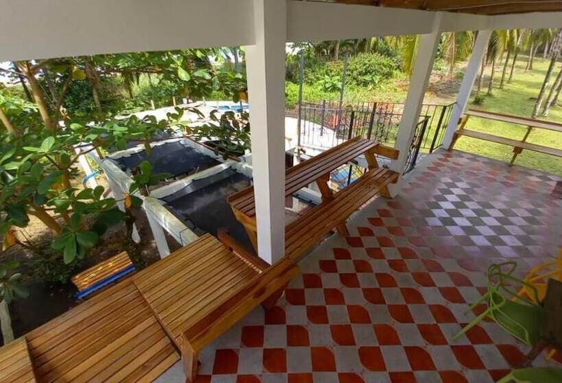 پانسیون Pura Natura Beachfront Tortuguero