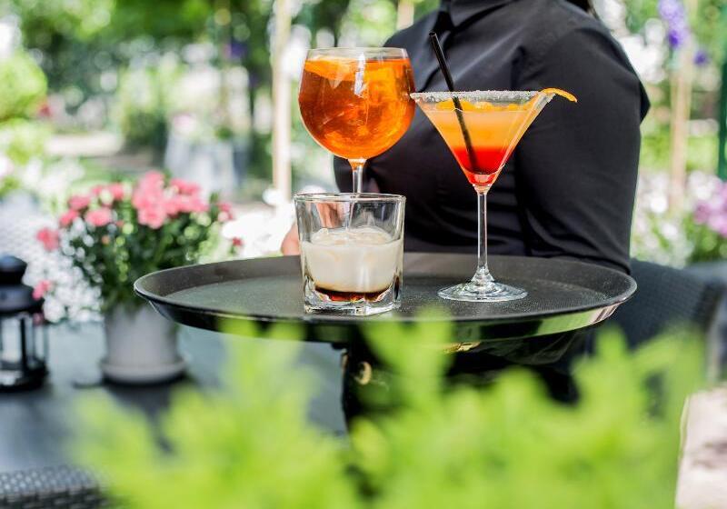 Fotos del hotel Apis:  17