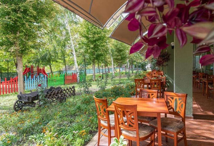 Ivana Palace Hotel   Free Parking