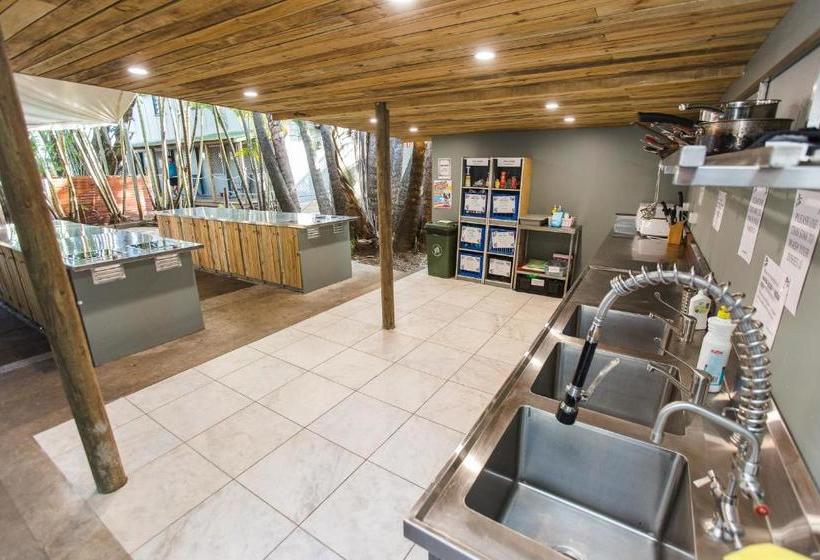 هتل Why Not Backpackers