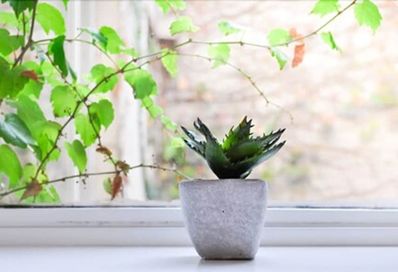 Fotos del hotel Maitre Hotel Boutique:  22