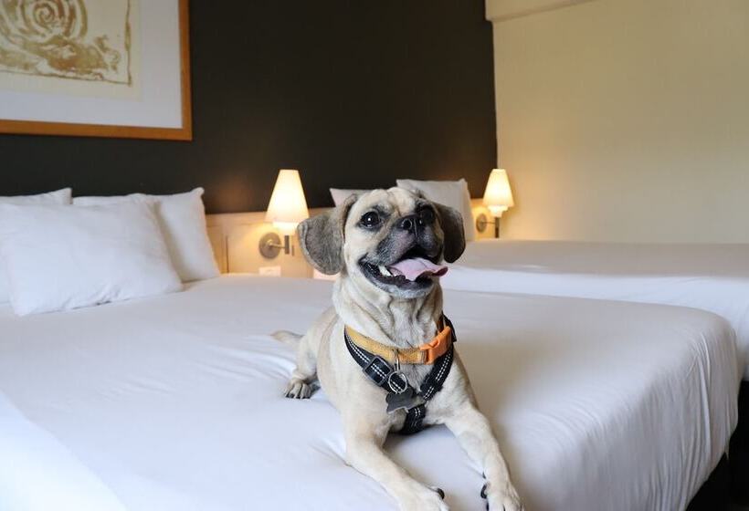 Fotos del hotel Novotel Monterrey Valle: 1 Fotos del hotel Novotel Monterrey Valle: 1
