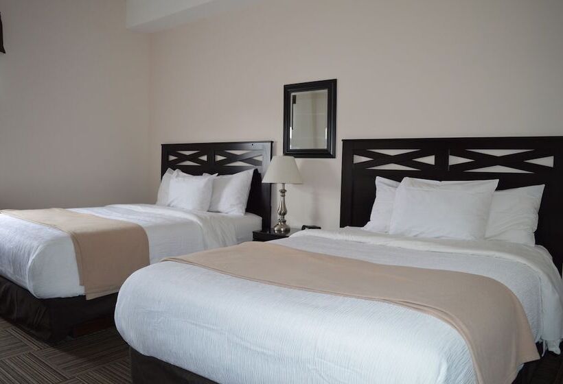 هاستل Auberge Macdonald Guest Inn