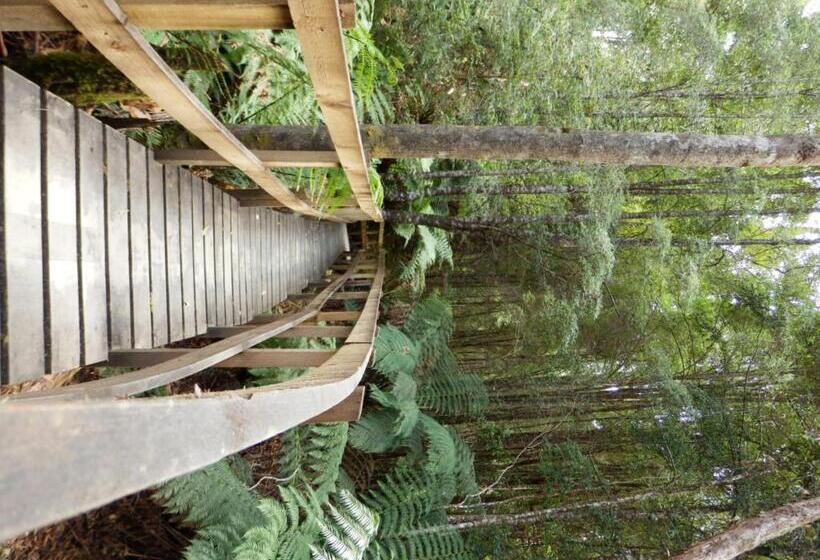 호스텔 Tahune Airwalk Cabin And Lodge